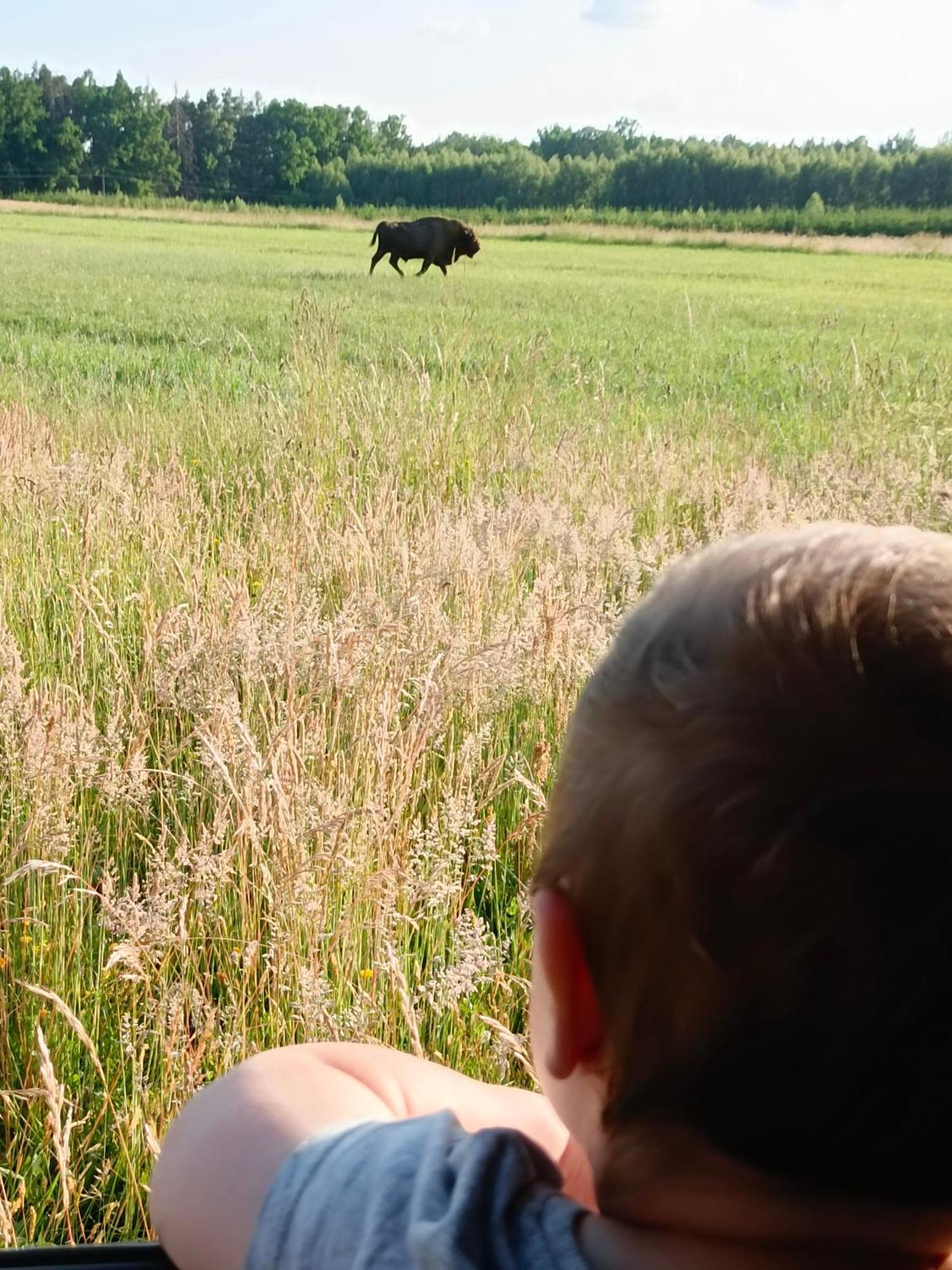 Białowieża Szumi Las 빌라 외부 사진